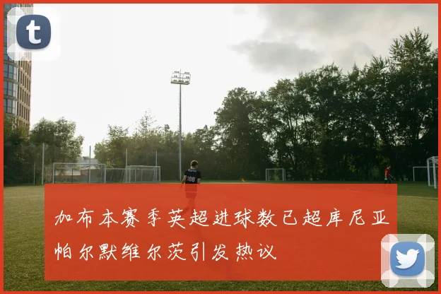 加布本赛季英超进球数已超库尼亚帕尔默维尔茨引发热议
