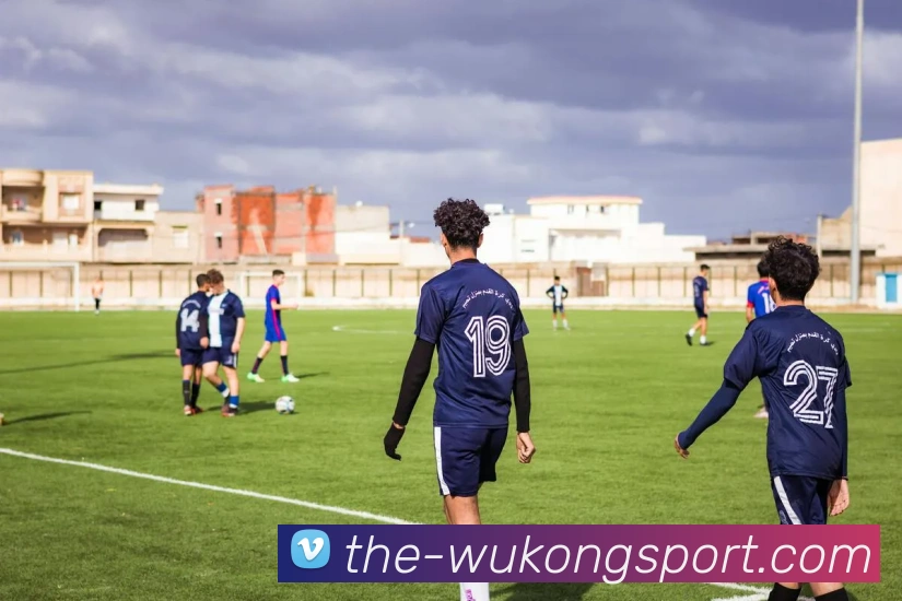 悟空体育平台生态图